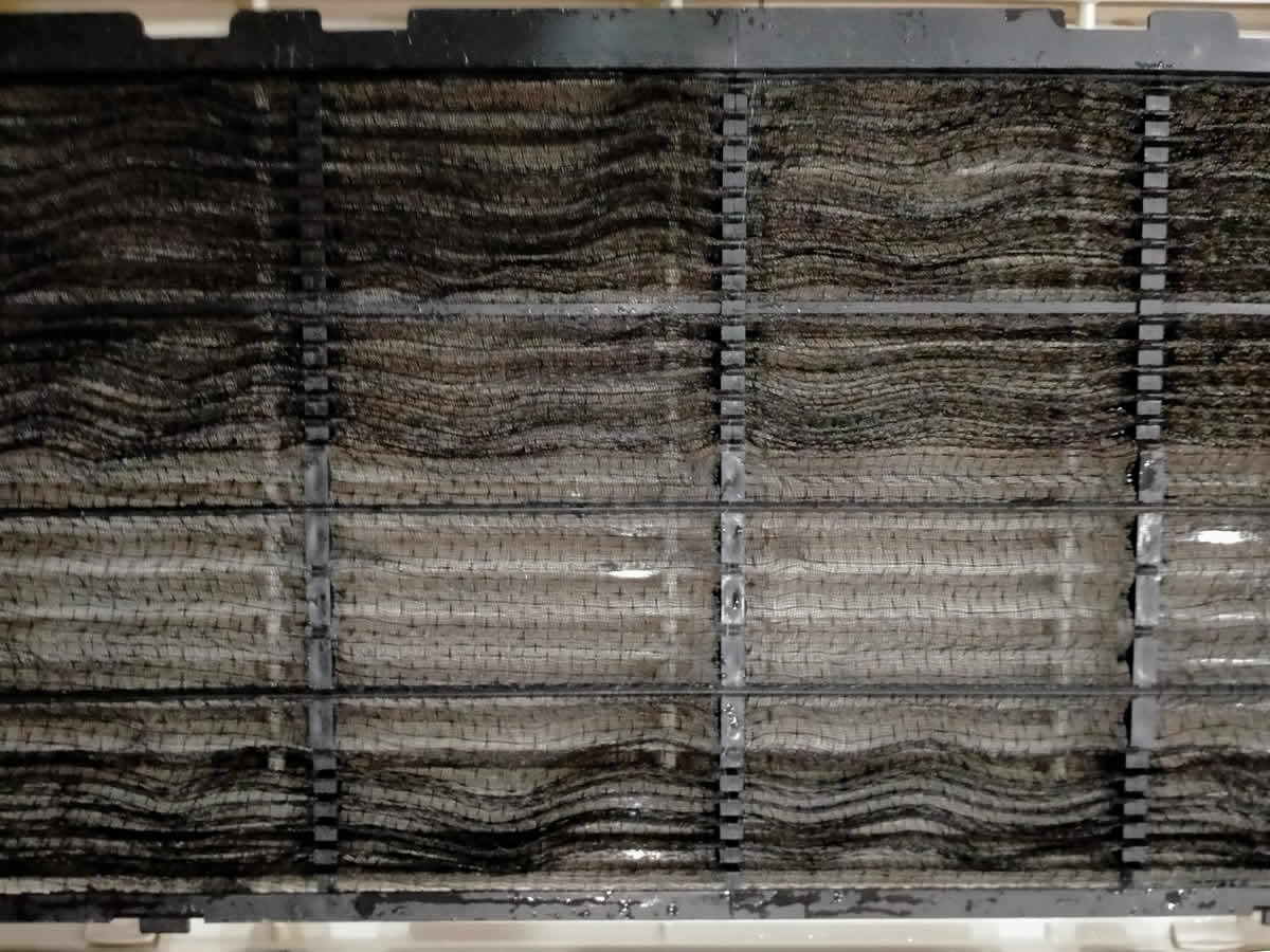 Air Conditioner Cleaning Services in Bangkok